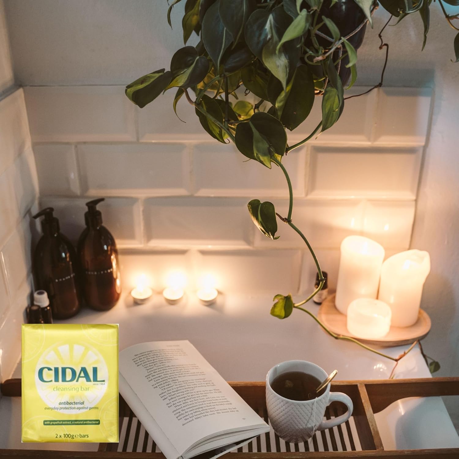 CIDAL Antibacterial Soap with Grapefruit Extract - 2 x 100g Bars : Amazon.co.uk: Health & Personal Care