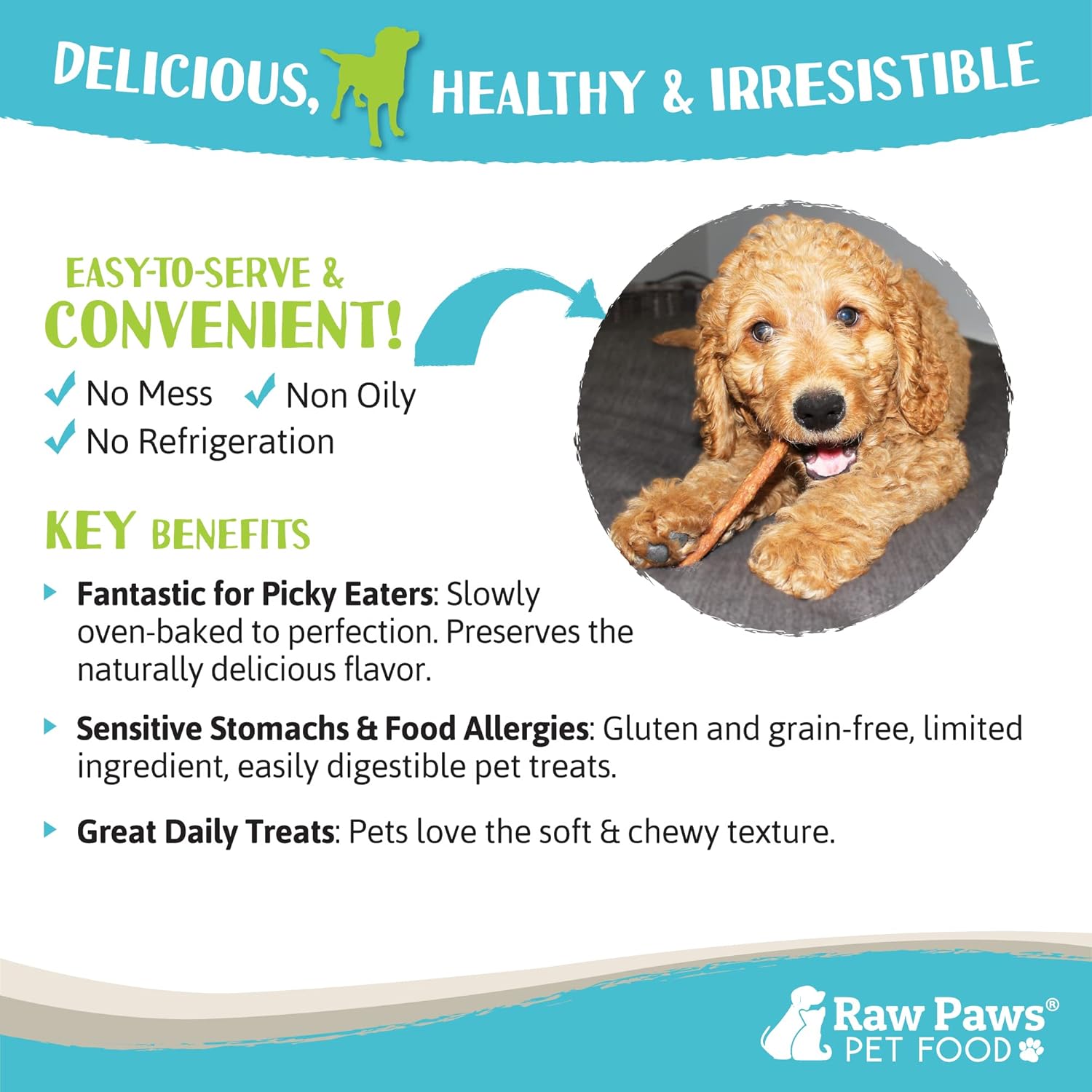 Raw Paws Grain-Free Soft Stick Treats for Dogs & Cats - Chicken Recipe, 6-oz - USA Soft Chicken Dog Treats Grain Free - Sausage Sticks for Dogs, Chicken Dog Jerky Sticks - Chewy Chicken Jerky for Dogs : Pet Supplies