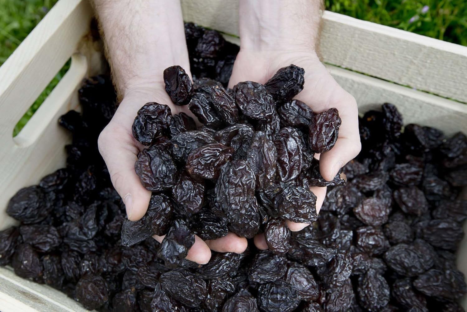 1 Kg Organic Dried Pitted Soft Prunes – No Addded Sugar, No Preservatives, Sorbate-Free, Unsulfured | Naturally Sweet, Non-Gmo, Fiber-Rich Snack