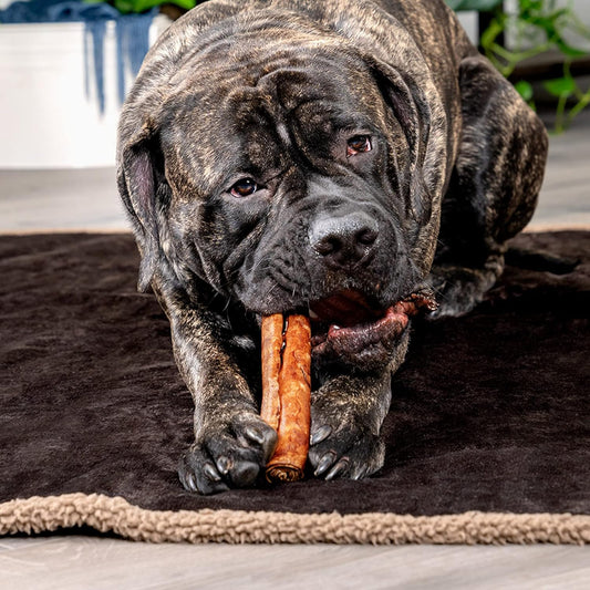 Pet Factory 100% Made In Usa Beefhide 8" Rolls Dog Chew Treats - Beef & Chicken Flavor, 10 Count/1 Pack