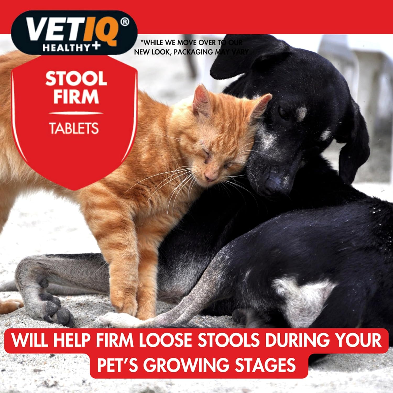 VETIQ Stool Firm Tablets for Dogs & Cats , Contains Pectin & Pumpkin to Help Improve Stool Firmness & Maintain Intestinal Health, 45 Tablets :Pet Supplies