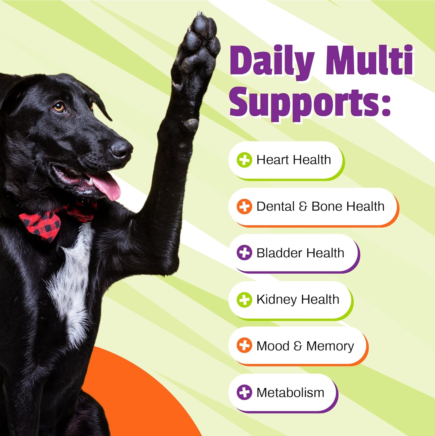 Pet Naturals Daily Multivitamin for Dogs, Veggie Flavor, 30 Chews - Yummy Chews with Amino Acids, and Antioxidants - Supports Energy, Metabolic Function and Pet Wellness : Pet Supplies