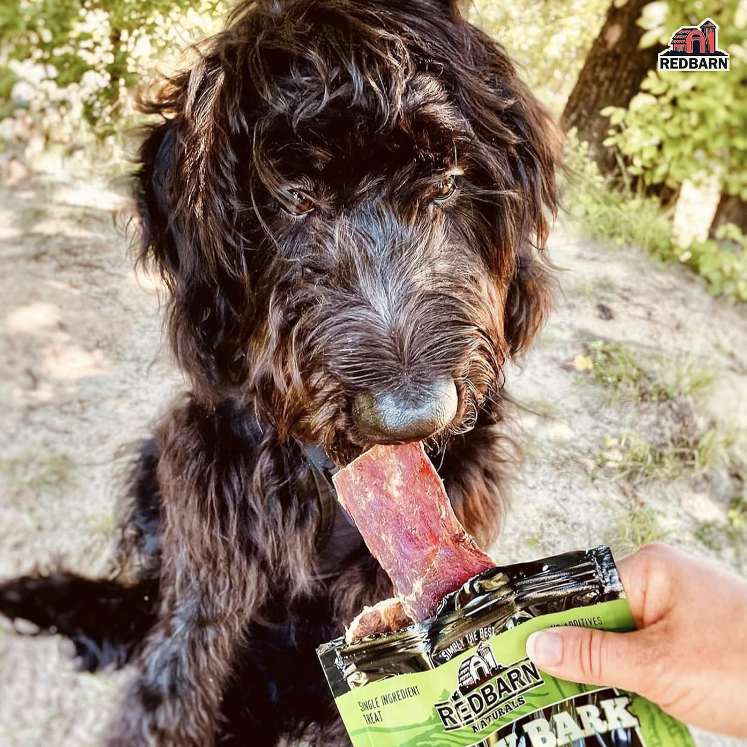 Redbarn Naturals Barky Bark Beef Dog Treats (50 Bones) : Pet Supplies