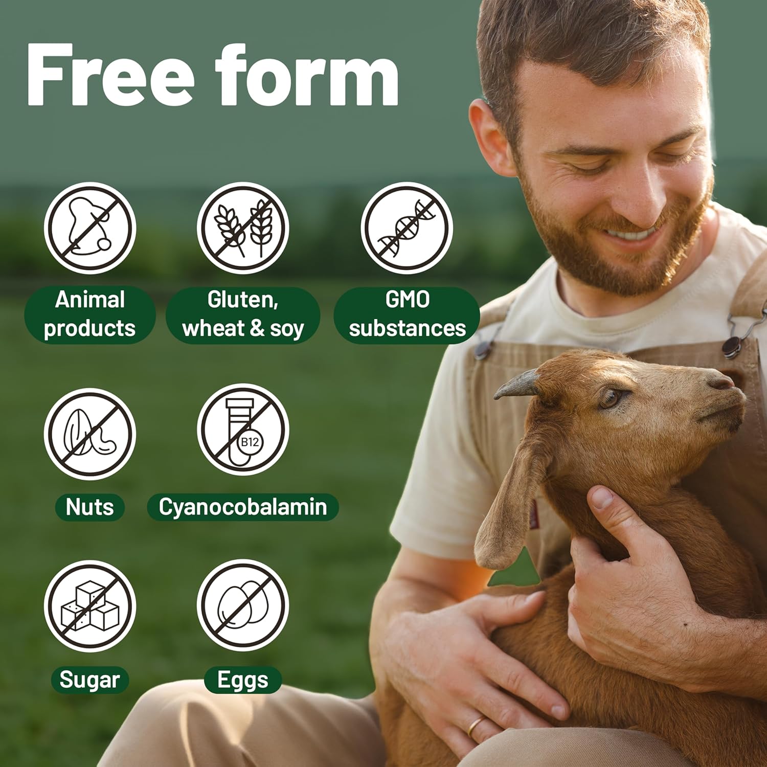 Vegan Vitality Multivitamins & Minerals For Women And Men With High Strength Vitamin B12, D3 & K2. 180 Vegan Multivitamin Tablets - 6 Months Supply. Vitamins For Vegans & Vegetarians : Health & Household