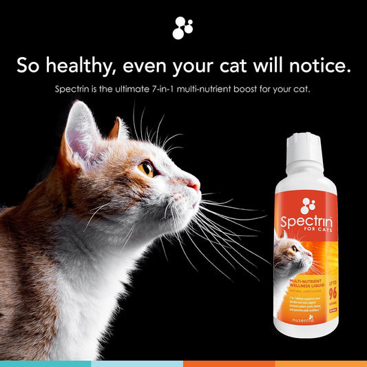 Cat Vitamins - Spectrin 16 OZ - Liquid Vitamin & Antioxidant Supplement for Cats - 96 doses