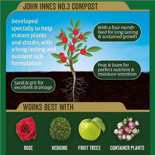 Westland John Innes Compost?10300058