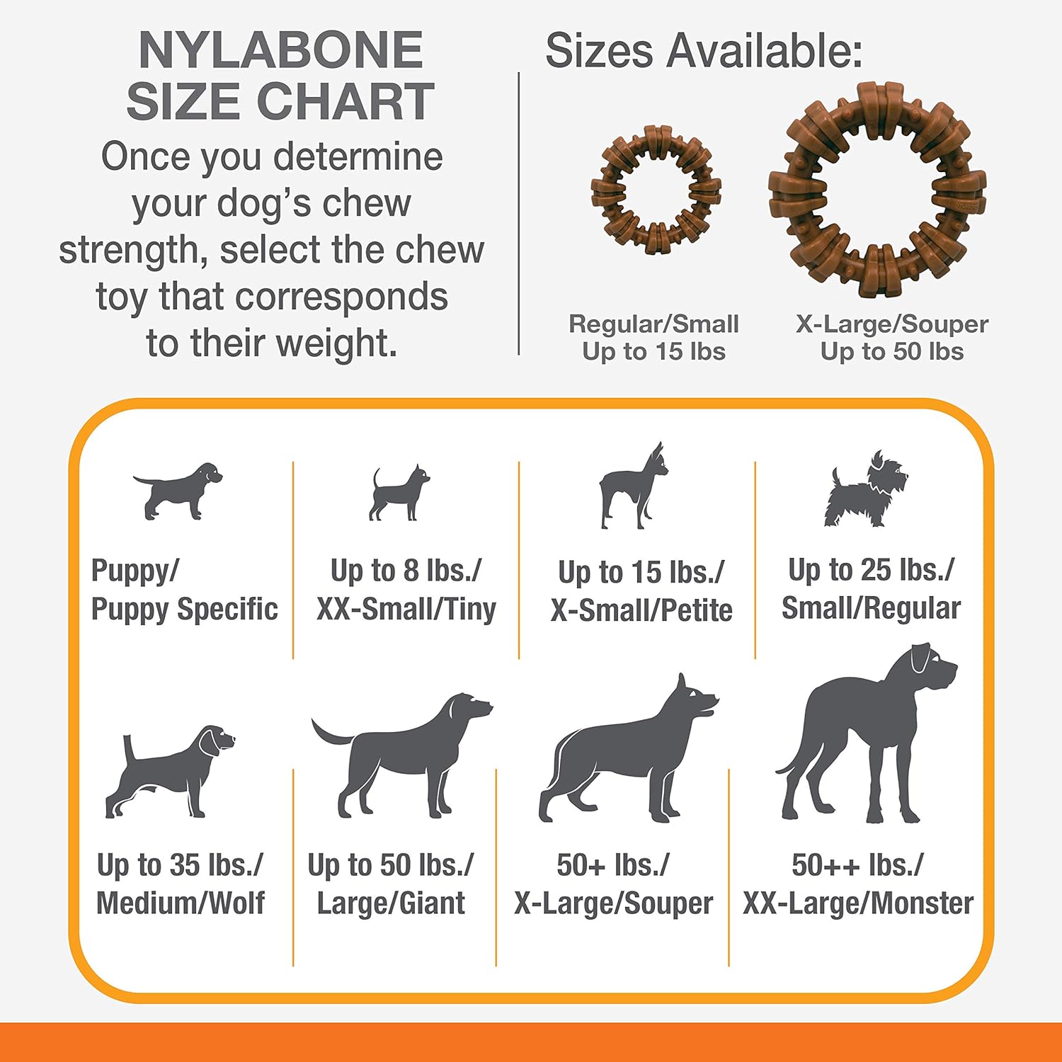 Pet Supplies : Nylabone Power Chew Textured Dog Chew Ring Toy - Tough and Durable Dog Chew Toy for Aggressive Chewers - Flavor Medley, Small/Regular (1 Count) : Amazon.com