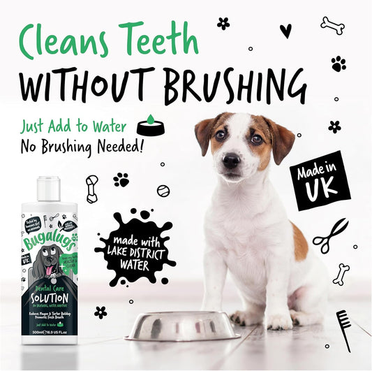 BUGALUGS Dog Breath Freshener Dental Care Water Additive. Clean Teeth, Healthy Gums & Fresh Breath - Natural Dog plaque remover & tartar remover for teeth - No Brushing Needed?BDENWATAD500