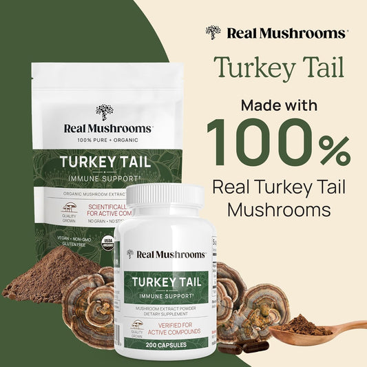 Real Mushrooms Turkey Tail Capsules - Organic Mushroom Supplement With Potent Turkey Tail Mushroom Extract For Gut, Energy, Brain, & Immune Support - Vegan Mushroom Extract, Non-Gmo