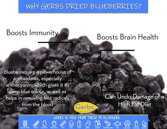 GERBS Dried Blueberries 14 Oz. | Freshly Dehydrated Resealable Bag | Top 14 Food Allergy Free | Non-GMO, Sulfur Dioxide Free blue berries |Brain & immune system booster | Gluten, Peanut, Tree Nut Free