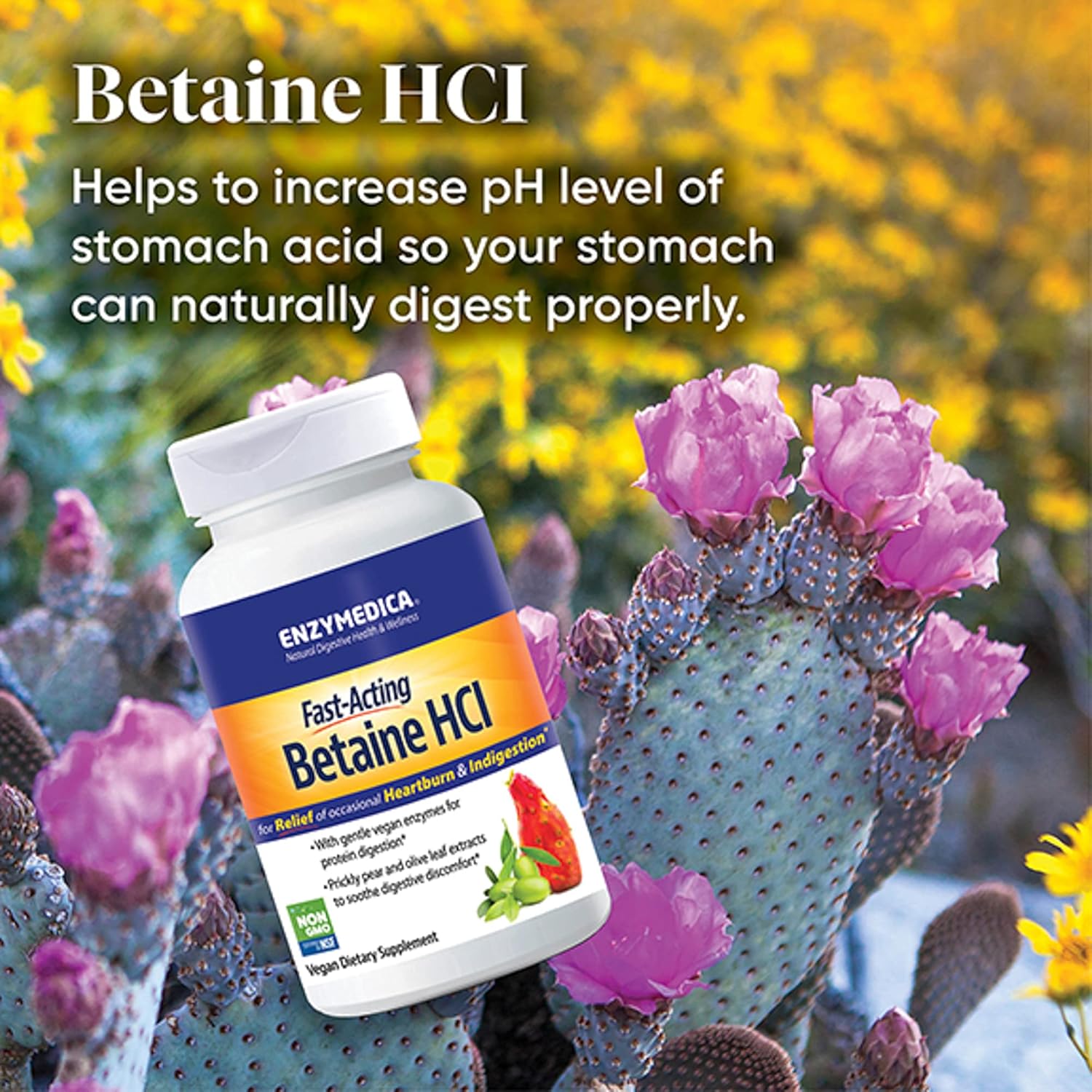 Enzymedica, Betaine Hcl, Occasional Heartburn And Indigestion Support, 120 Capsules : Health & Household