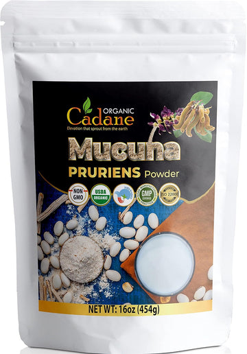 Organic Cadane Mucuna Pruriens Powder 1 Pound | Promotes Brain Health, Supports Immune System, Boosts Energy | Usda Certified Vegan-Friendly Supplements | Pure Natural Velvet Beans Extract From India