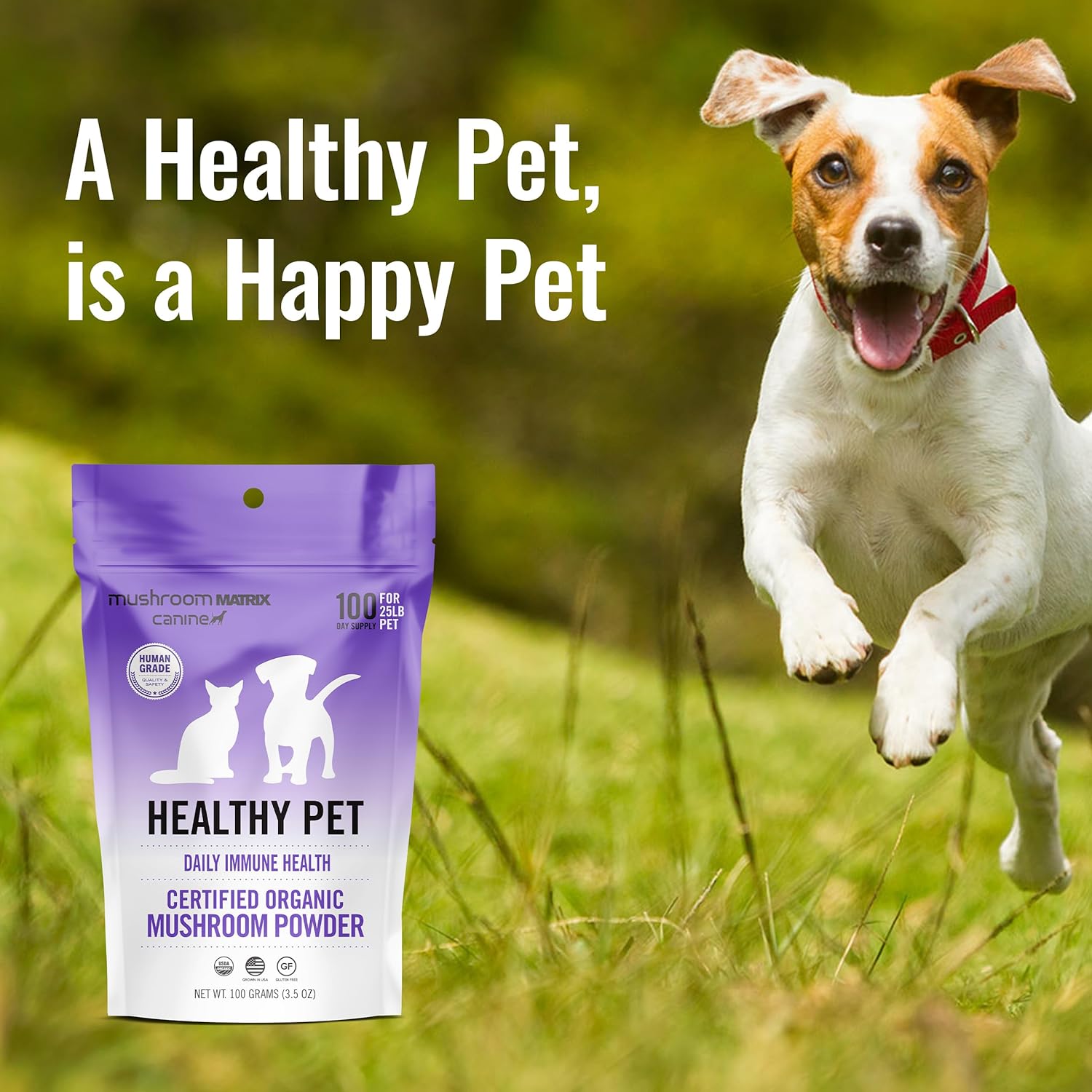 Om Mushroom Matrix Pet - Canine | Healthy Pet | USA Grown Human-Grade Organic Mushroom Powder Pet Supplement | Daily Functional Immune Support for Dogs & Cats | 100 Grams, 3.5 oz : Pet Supplies