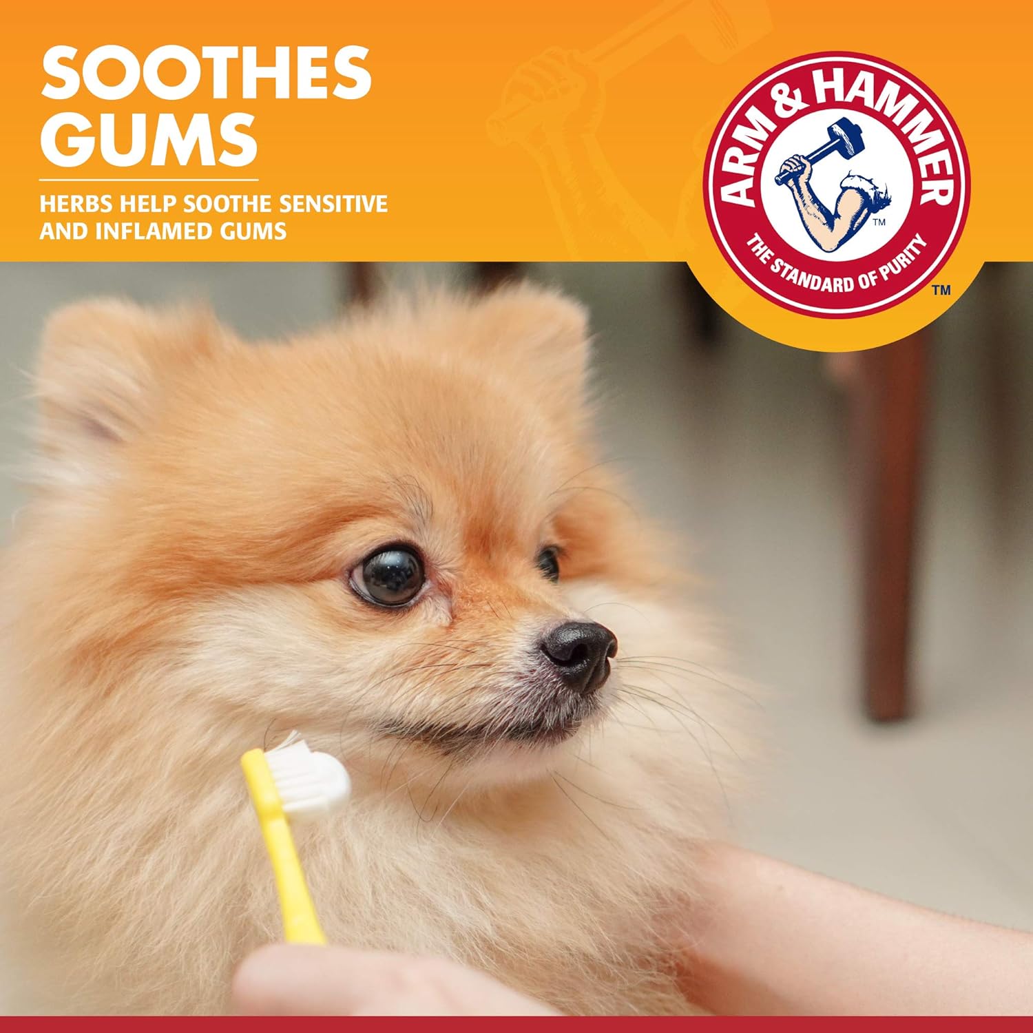 Arm & Hammer for Pets Clinical Care Enzymatic Toothpaste for Dogs | Soothes Inflamed Gums | Dog Toothpaste Enzymatic, Chicken Flavor, 2.5 Oz | Arm and Hammer Toothpaste for Dogs, Dog Dental Care : Pet Toothpastes : Pet Supplies