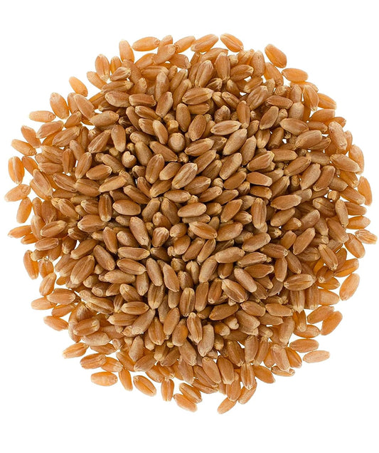 Hard Red Winter Wheat Berries | 4 LBS | Kraft Re-Sealable Bag | Desiccant Free | Sproutable | Non-GMO Project Verified | Kosher