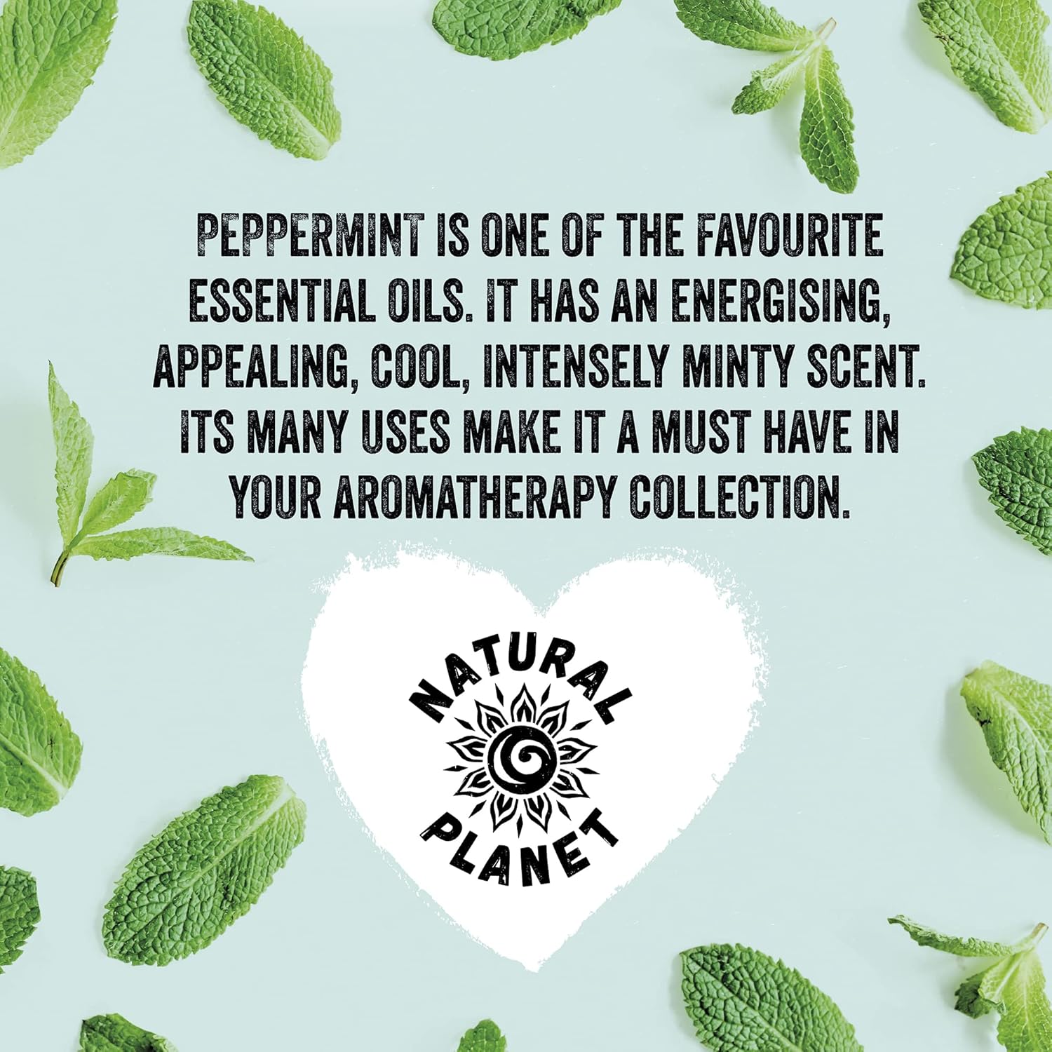 Natural Planet Peppermint Essential Oil 15ML Natural 100% Pure & Undiluted Therapeutic Grade Cruelty Free : Amazon.co.uk: Health & Personal Care