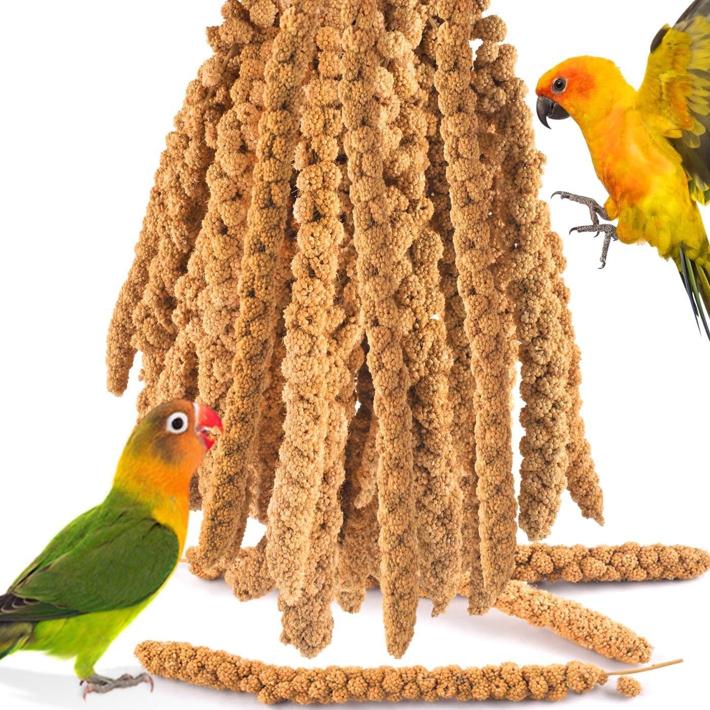 Katumo Spray Millet For Birds, 2.0Lb / 910G Natural Sun-Dried Millet Spray Bird Treats Parakeet Food For Cockatiels Conures Parrots Hamsters Finches