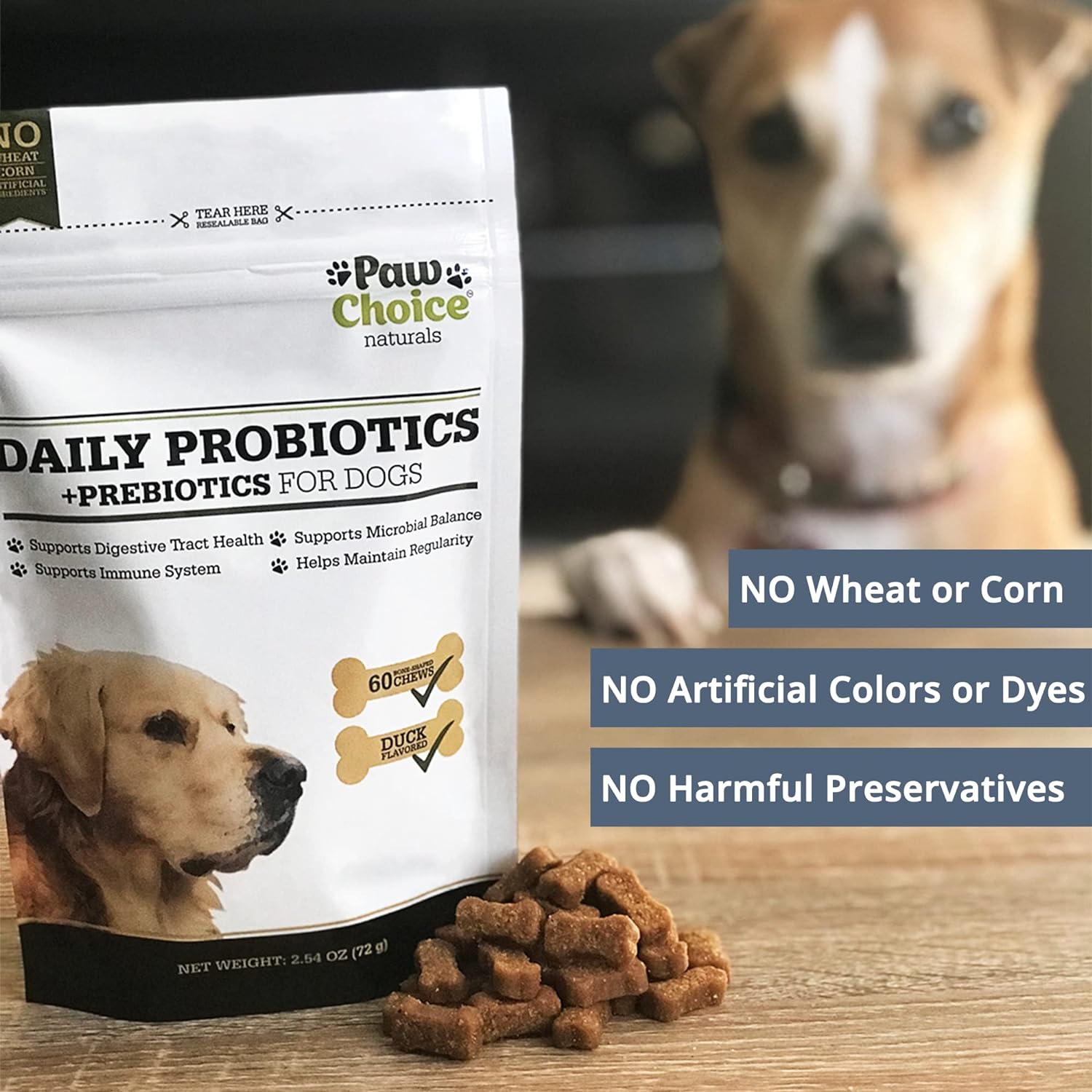 Probiotics for Dogs with Prebiotics - Daily Chews for Digestion, Regularity, Diarrhea Relief, Plus Supports Immune System and Health - Natural Supplement and Treat Made in USA : Pet Supplies