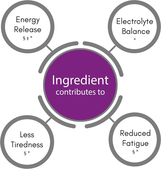 Synbio Premium+ - Energy Boost