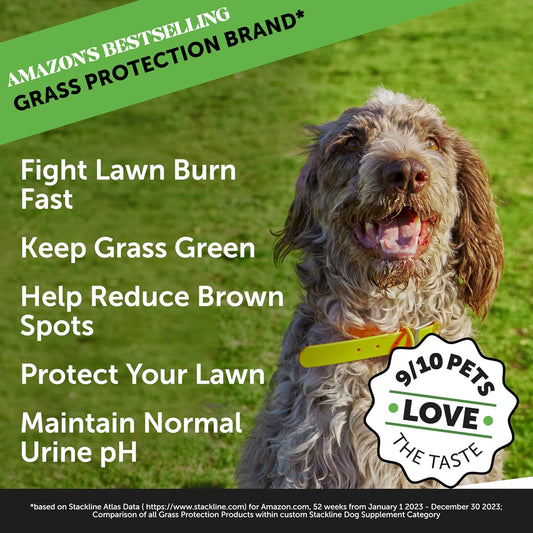 Pet Honesty Grass Green Max Strength Burn Spot Chews For Dogs - Premium Formula - Dog Pee Lawn Spot Saver Supplement Caused By Dog Urine, Dog Antioxidant With Probiotics + Dl-Methionine (Duck 90 Ct)