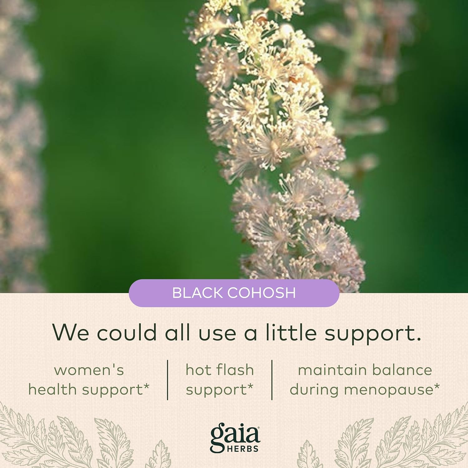 Gaia Herbs Black Cohosh - Menopause Support Supplement to Help Maintain Hormone Balance and Health for Women - with Organic Black Cohosh - 60 Vegan Liquid Phyto-Capsules (30-Day Supply) : Health & Household