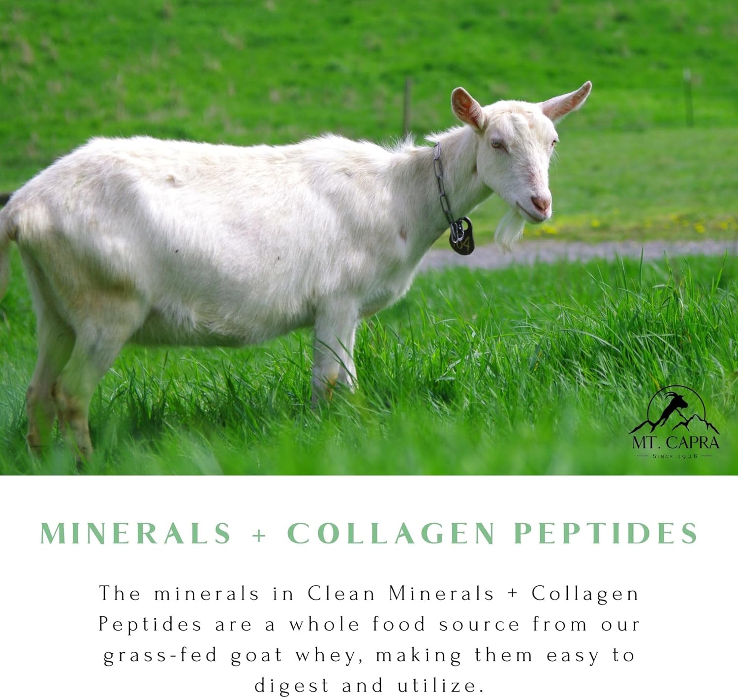 Mt. Capra Clean Minerals With Collagen Peptides | Whole Food Minerals From Goat Milk Whey And Grass-Fed Type I And Iii Collagen Peptides | 10 G Protein Per Serving | Unflavored | 20 Servings - 23.8 Oz : Health & Household