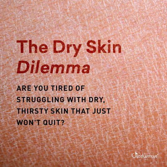 Body Cream | Best Moisturizer For Your Skin | Long Lasting With Skin Loving Ingredients