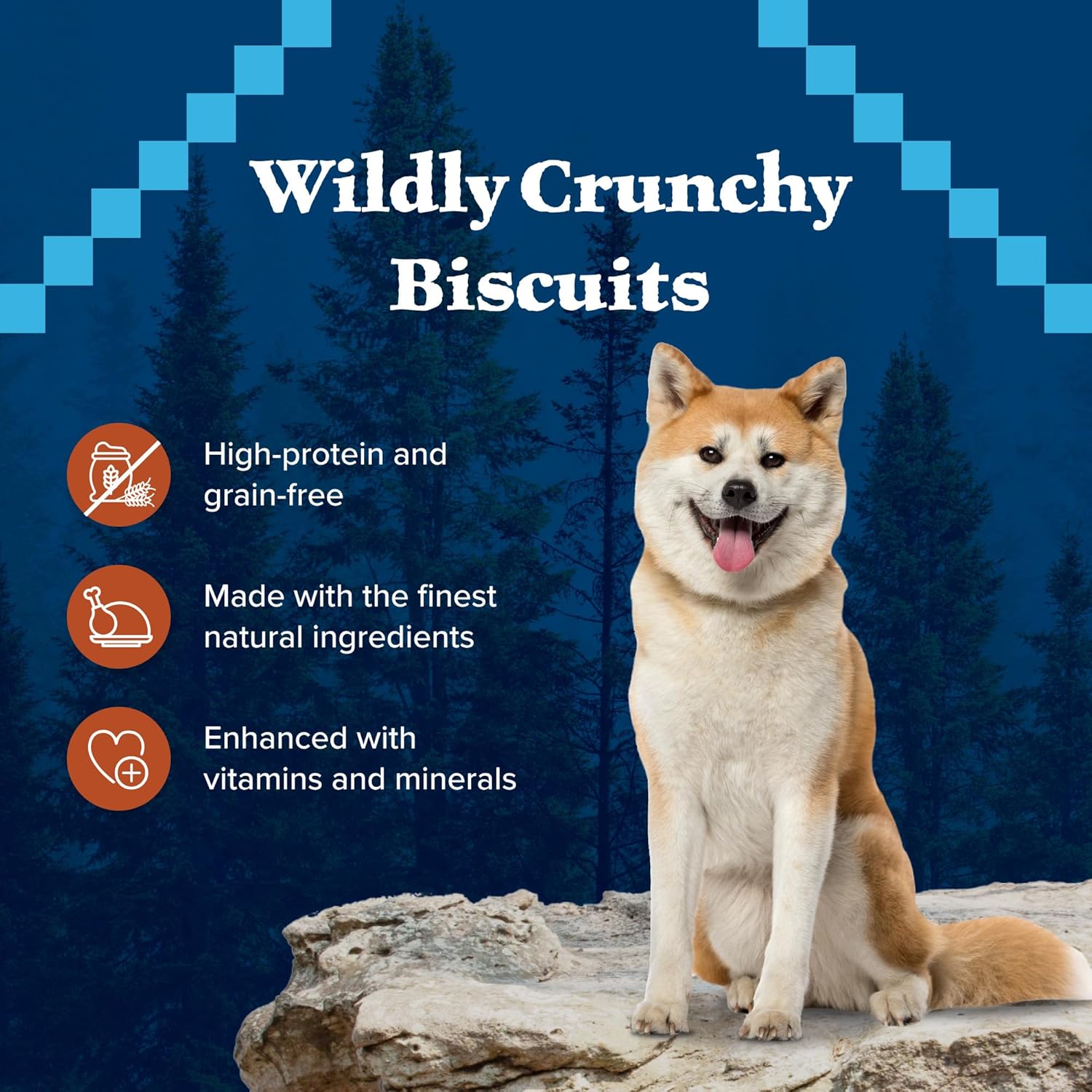 Blue Buffalo Wilderness Trail Treats Crunchy Dog Biscuits Grain-Free and High-Protein Dog Treats, Turkey Recipe 36-oz. Box : Pet Supplies