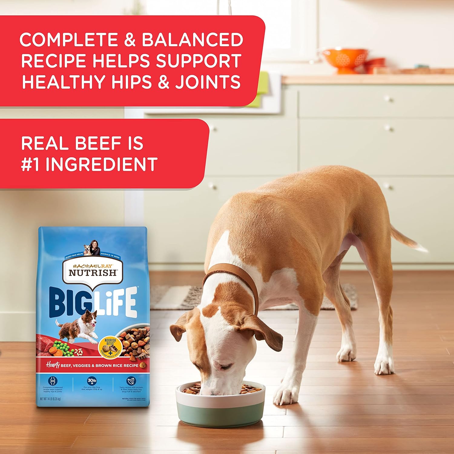Rachael Ray Nutrish Big Life Dry Dog Food, Medium & Large Breed, Hearty Beef, Brown Rice, & Veggies, 40 Pounds : Pet Supplies