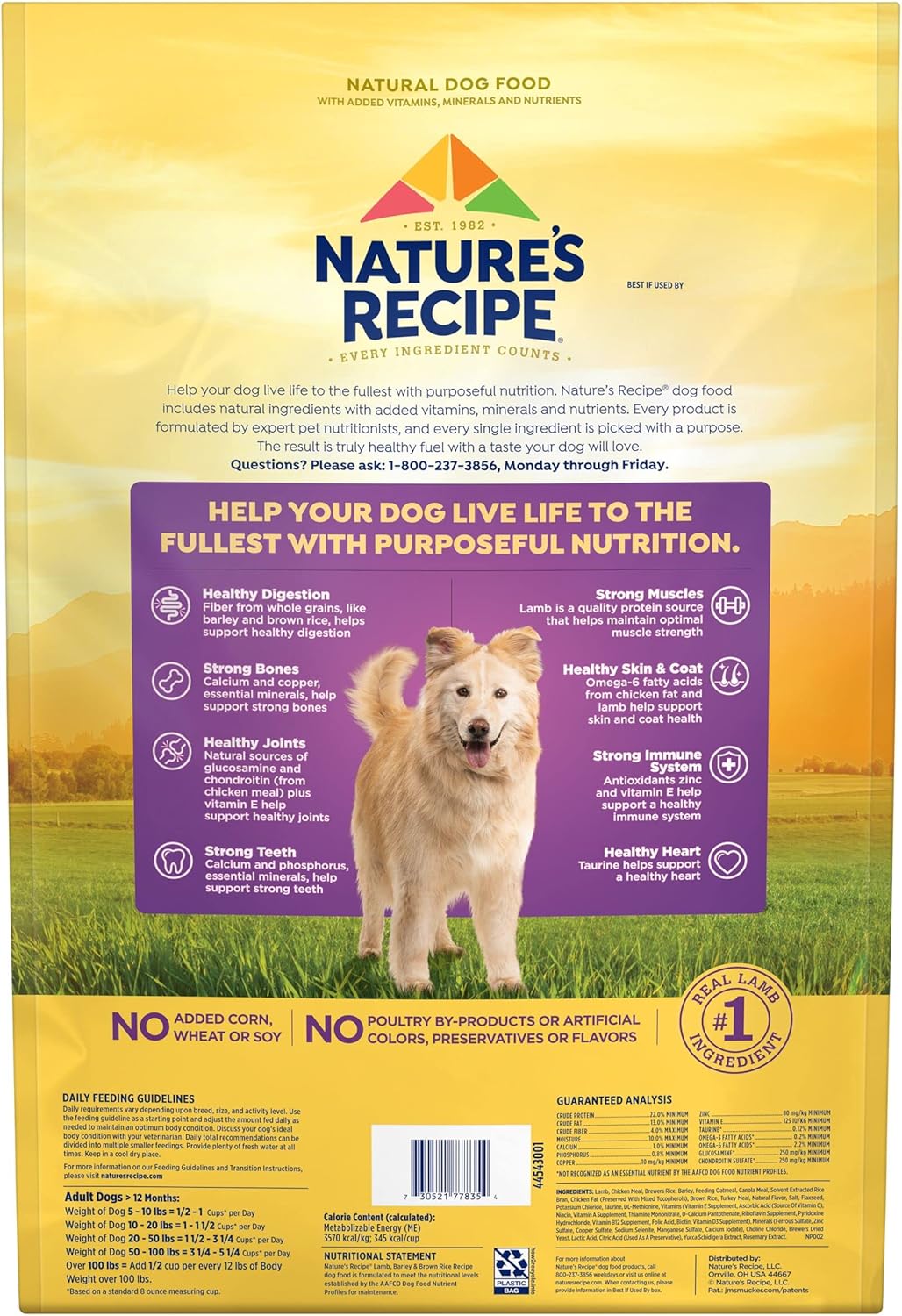 Nature?s Recipe Lamb, Barley & Brown Rice Recipe Dry Dog Food, 12 lb. Bag : Pet Supplies