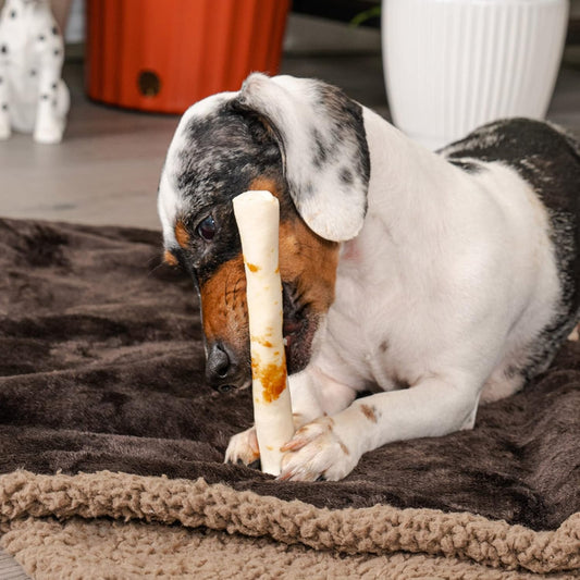 Pet Factory Twistedz American Beefhide 5" Chip Rolls Dog Chew Treats W/ Real Beef Meat Wrap - 8 Count/1 Pack