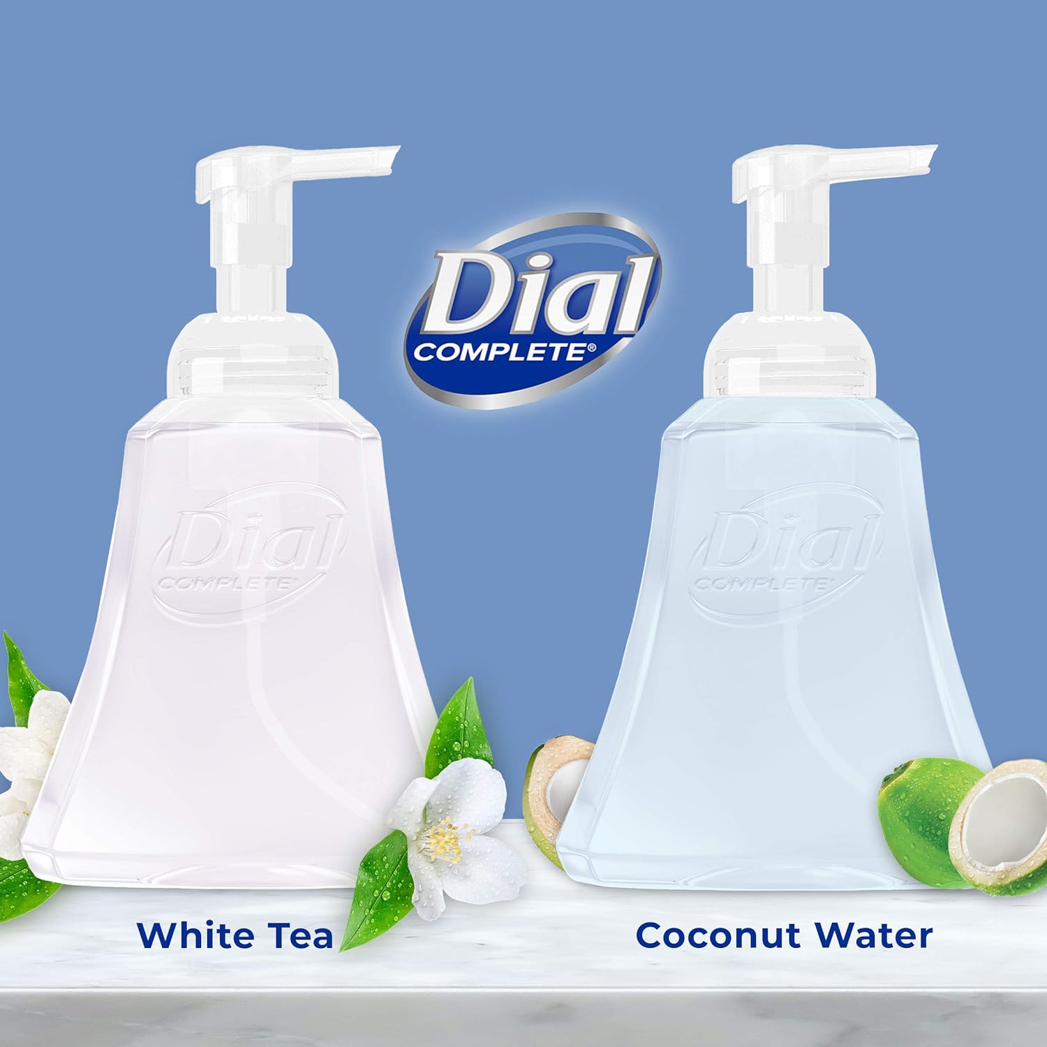 Dial Complete Antibacterial Foaming Hand Wash, Coconut Water/Soothing White Tea, 15 fl oz (Pack of 4) : Beauty & Personal Care