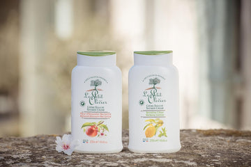 Shower Gel - Aloe Vera - Gently Cleanses Skin - Fresh And Moisturizing - Ph Neutral - Dermatologically Tested - Free Of Soap And Dyes - 16.9 Oz