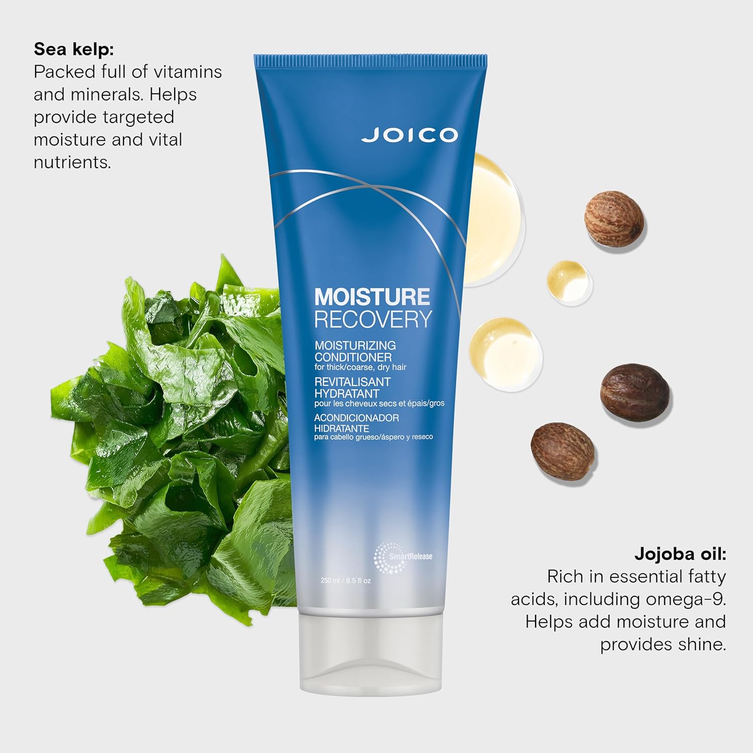 Joico Moisture Recovery Moisturizing Conditioner | For Thick, Coarse, Dry Hair | Restore Moisture, Smoothness, Strength, & Elasticity | Reduce Breakage | With Jojoba Oil & Shea Butter | 8.5 Fl Oz : Beauty & Personal Care