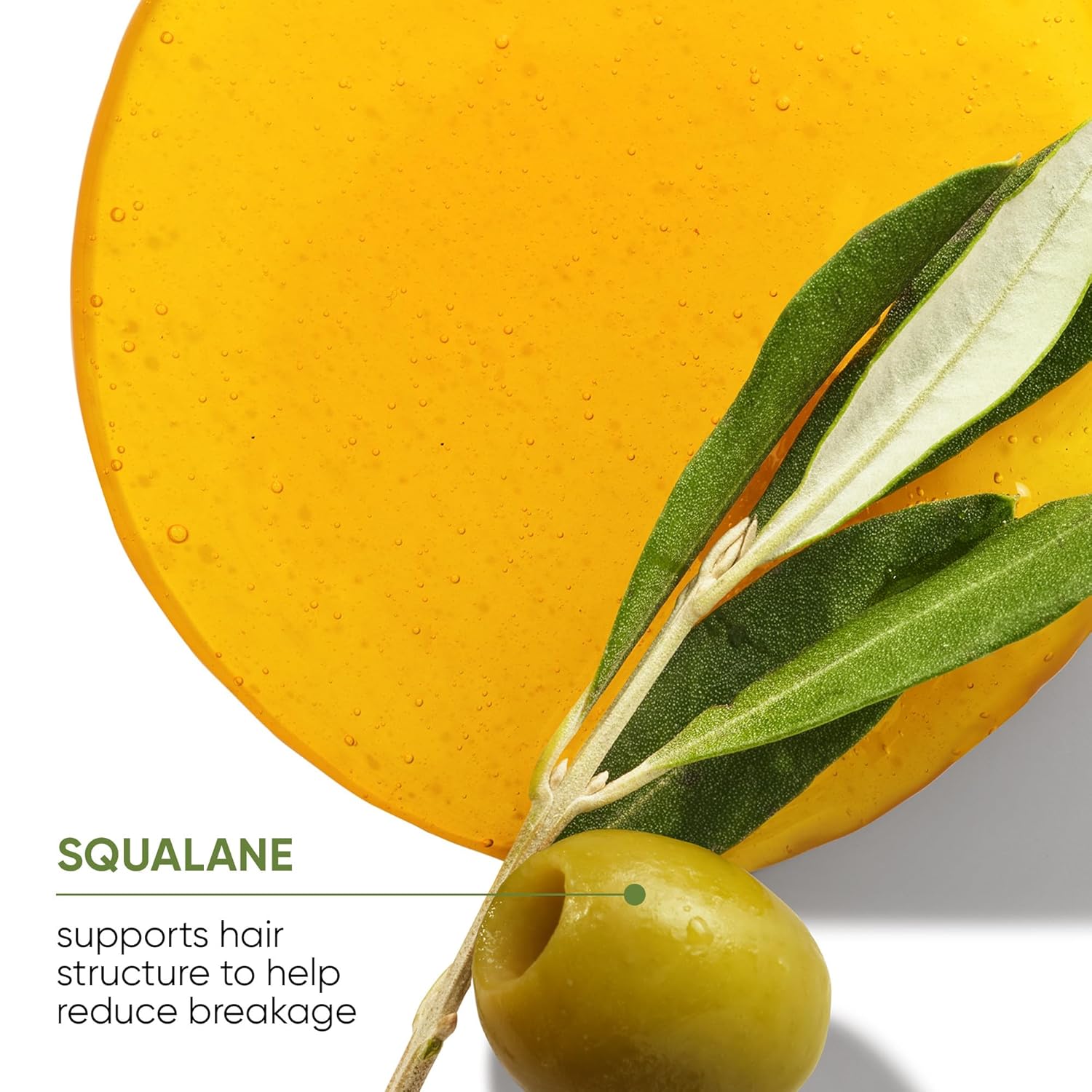 Biolage Strength Recovery Repairing Spray - Strengthens & Protects Damaged Hair, Heat Protectant, With Olive Squalane & Vegan Proteins, For Color-Treated Hair, 1.01 Fl Oz, Packaging May Vary : Beauty & Personal Care
