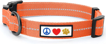Pawtitas Recycled Dog Collar with Reflective Stitched Puppy Collar Made from Plastic Bottles Collected from Oceans Small Living Coral?COMOYA