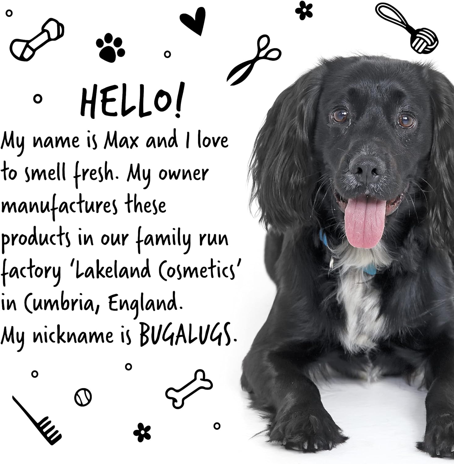 BUGALUGS Dog Shampoo Tropical Mango & Banana dog grooming shampoo products for smelly dogs with fragrance, best puppy shampoo, professional groom Vegan pet shampoo & conditioner (5 Litre) :Pet Supplies