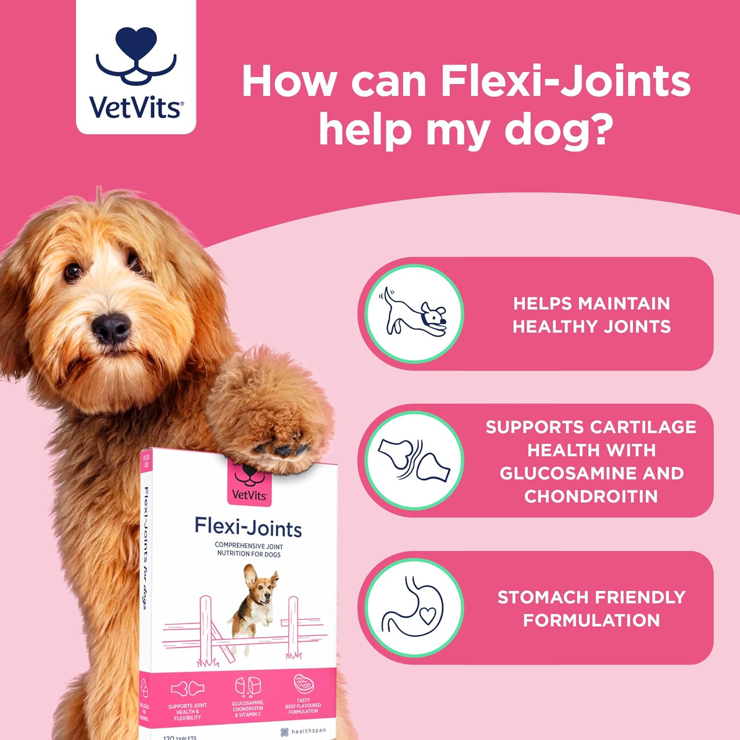 VetVits Flexi-Joints For Dogs | Supports your Dog's Joint Health | Blend of Glucosamine and Chondroitin | With Vitamins C & E | Delicious Beef Flavour (120 Tablets) : Amazon.co.uk: Pet Supplies