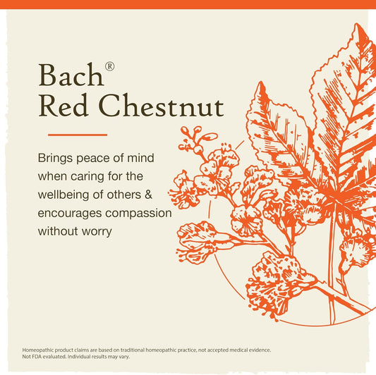 Bach Original Flower Remedies, Red Chestnut For Peace Of Mind (Non-Alcohol Formula), Natural Homeopathic Flower Essence, Holistic Wellness And Stress Relief, Vegan, 10Ml Dropper
