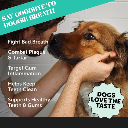 Pet Honesty Dog Breath Freshener Dental Powder For Teeth Cleaning Plaque Off, Dental Care For Dogs, Tartar Remover For Teeth With Natural Herbal Blend + Postbiotcs (30 Scoops)