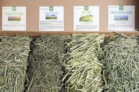 Small Pet Select-Sampler Box, 2Nd Cutting, 3Rd Cutting Timothy Hay, Oat Hay, & Orchard Hay