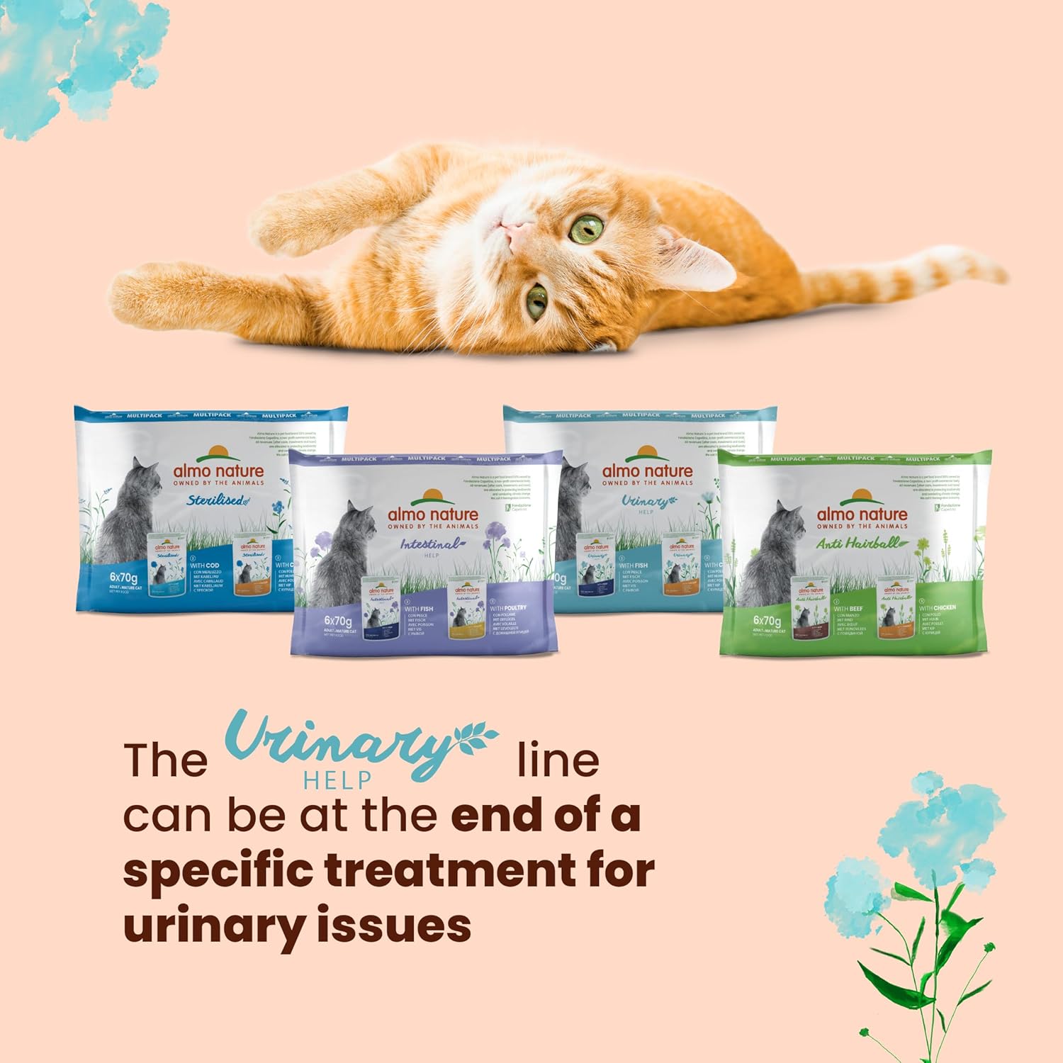 Almo Nature Functional Urinary help with Fish, Complete Wet Food for Adult Cats 30 x 70 g :Pet Supplies