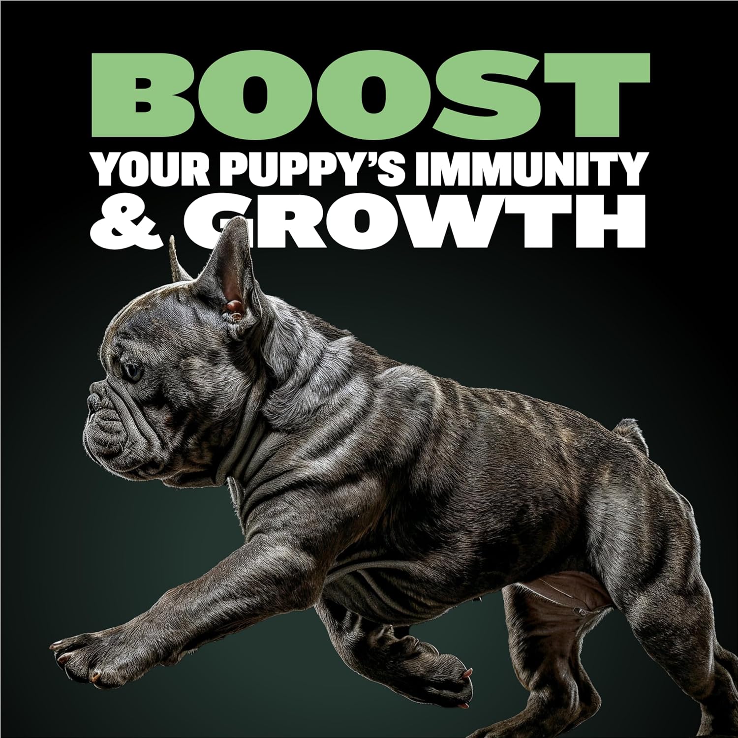 Bully Max Complete Puppy Starter Kit - High Protein 5lbs Food, Immunity 75 pcs Chews & Puppy Vitamins 30 Tabs Bundle - Optimal Growth & Development for All Breeds, Small Dogs, Large Breed Pups : Pet Supplies