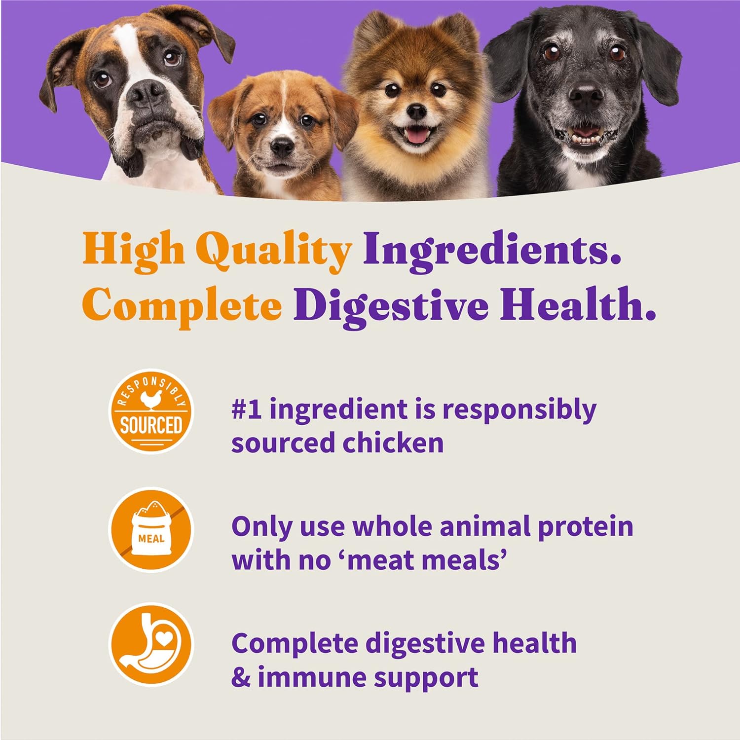 Halo Holistic Dog Food, Complete Digestive Health Cage-Free Chicken and Brown Rice Recipe, Dry Dog Food Bag, Puppy Formula, 10-lb Bag : Dry Pet Food : Pet Supplies