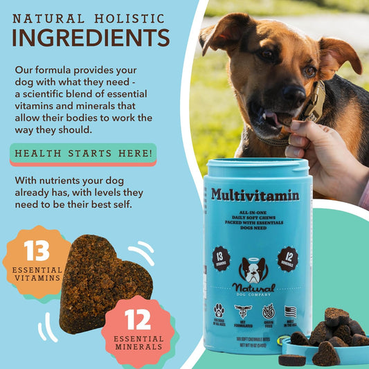 Natural Dog Multivitamin Chews (180 Pcs) Dog Vitamins & Supplements, Peanut Butter & Bacon Flavor, Dogs, Supports Immune System, Antioxidant