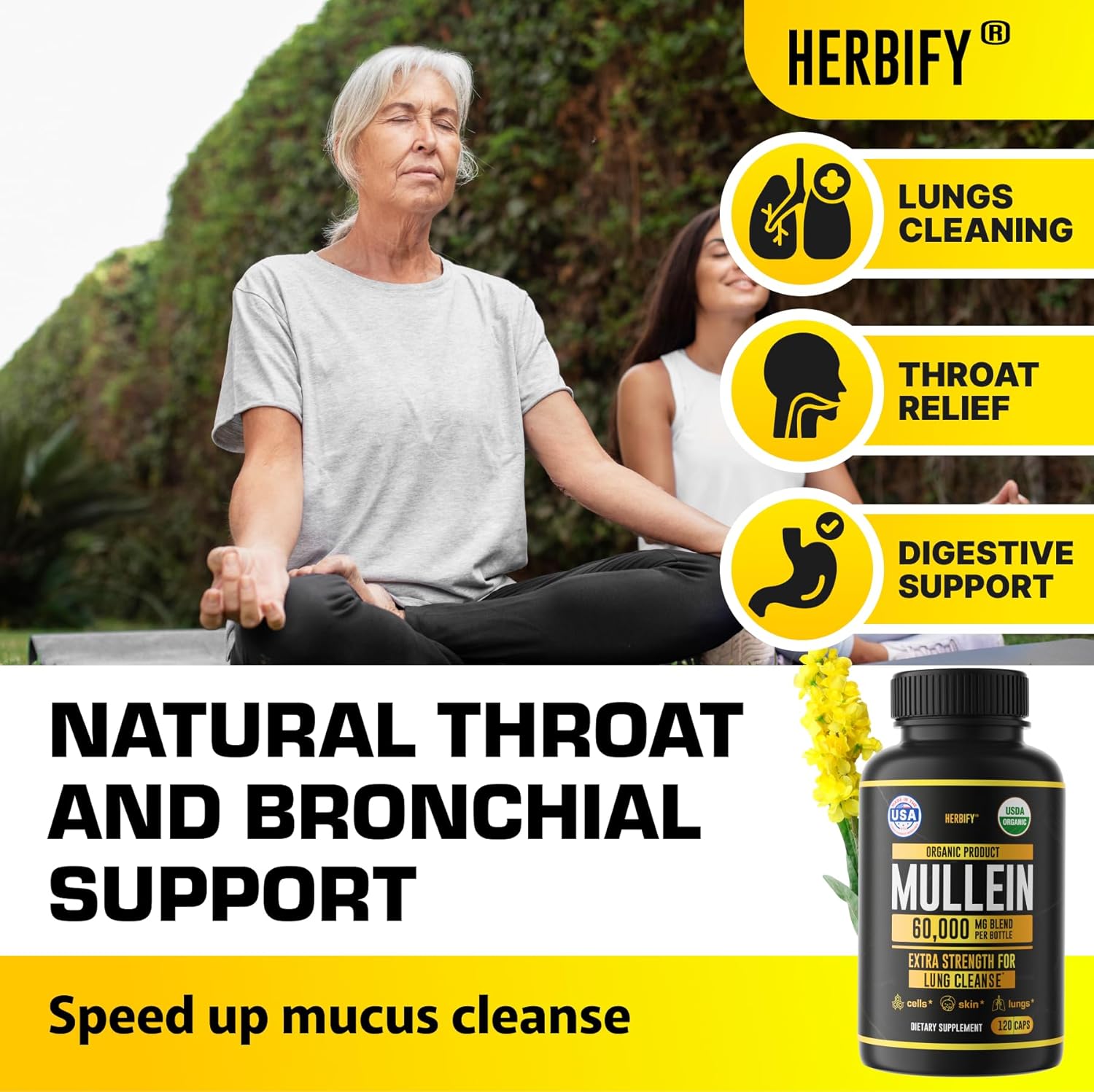 Herbify Mullein Extract 2 Oz Tincture For Respiratory Health, Mullein Leaf And Flowers Blend (Verbascum Densiflorum) : Health & Household