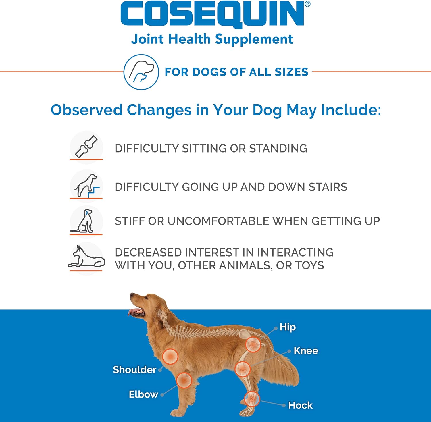 Nutramax Laboratories Cosequin Maximum Strength Joint Health Supplement for Dogs - With Glucosamine, Chondroitin, and MSM, 250 Chewable Tablets : Pet Supplies
