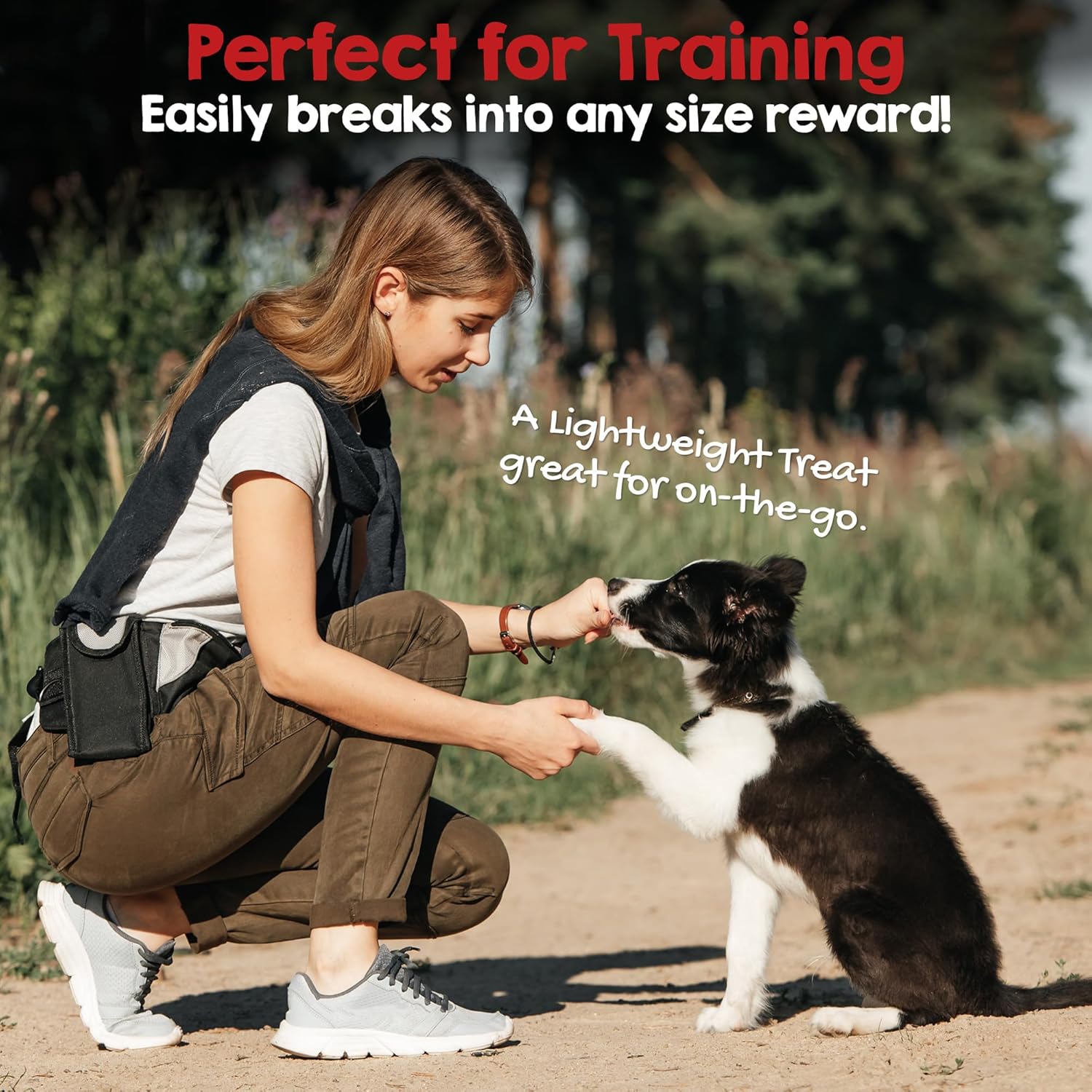 Riley's Premium Dehydrated Lamb Lung Dog Treats - Sourced in USA, Made in USA - Air Dried Crunchy & Delicious Lamb Dog Treats - 6 oz : Pet Supplies