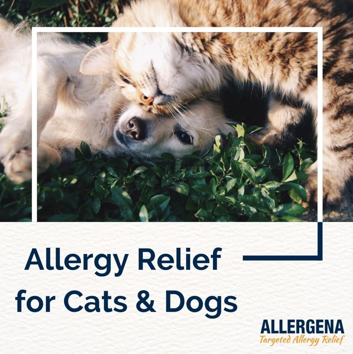 Buy Progena - Allergena For Pets (1 Fl Ounce) On  Free Shipping On Qualified Orders