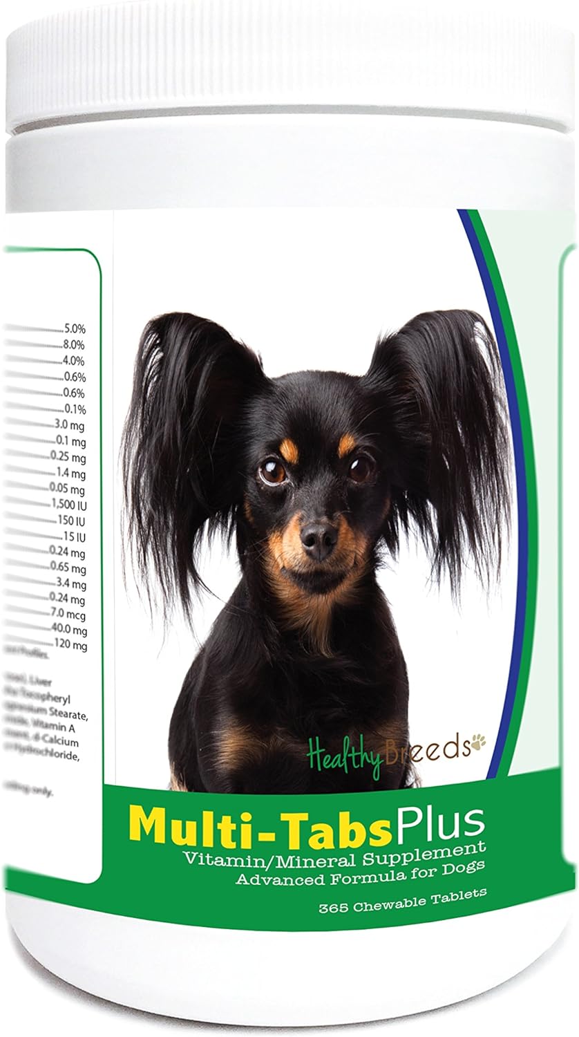 Healthy Breeds Russian Toy Terrier Multi-Tabs Plus Chewable Tablets 365 Count : Pet Supplies